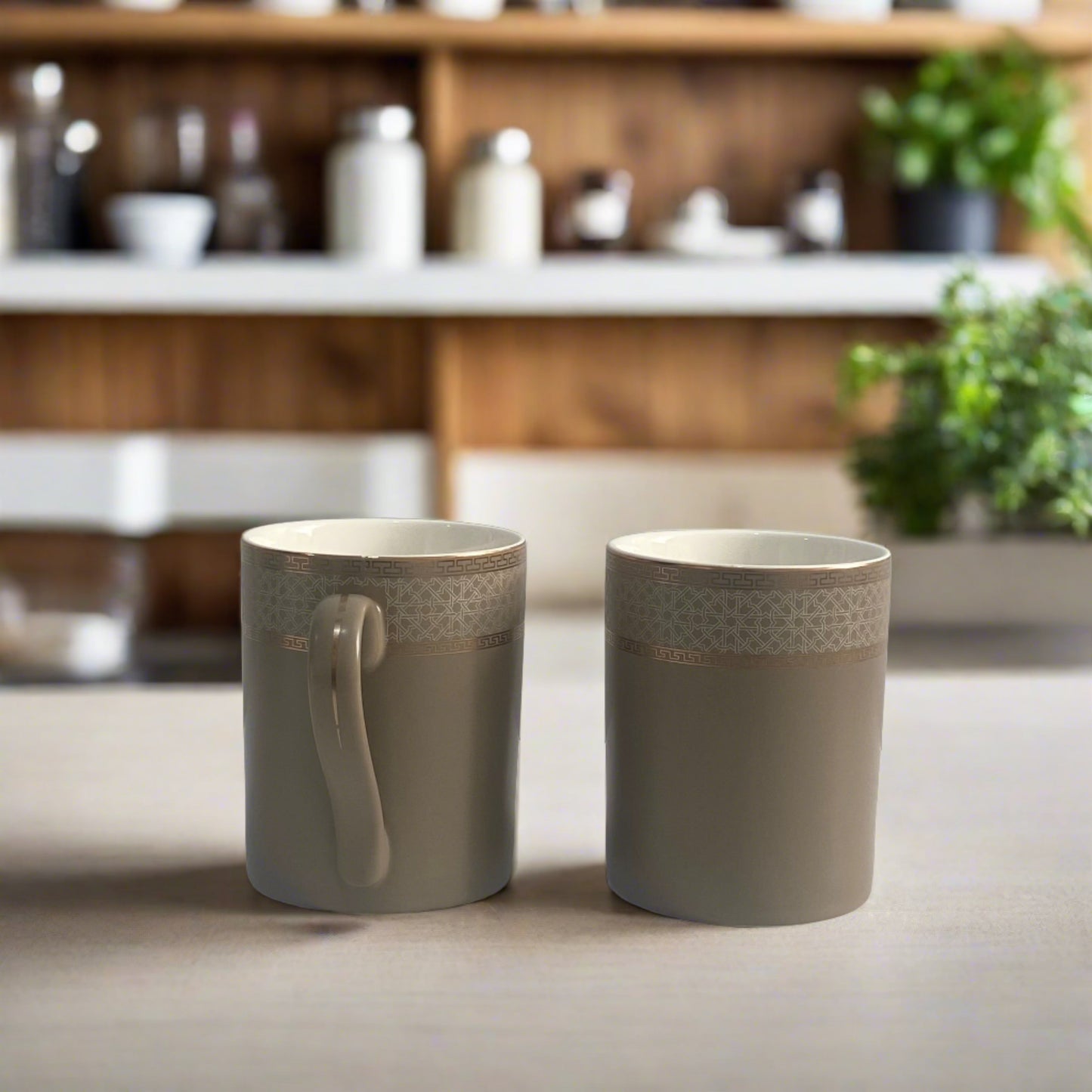 Coffee Brown Matte Coffee Mug Set of 2